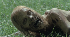 Ходячие мертвецы / The Walking Dead
