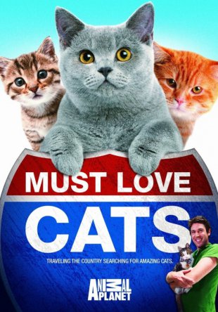     / Must Love Cats ( 1-2) (2011-2012)