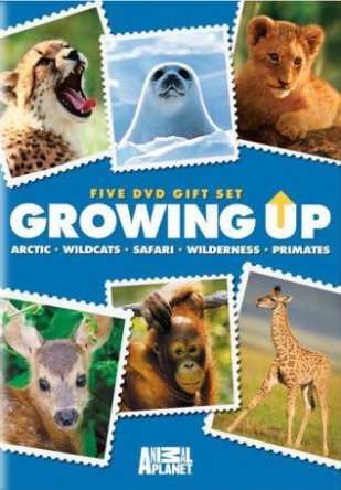   / Growing Up (20152016)