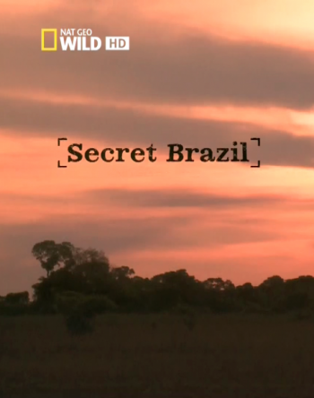 National Geographic.   Secret Brazil