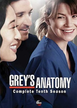   /   / Greys Anatomy ( 10) (2013)