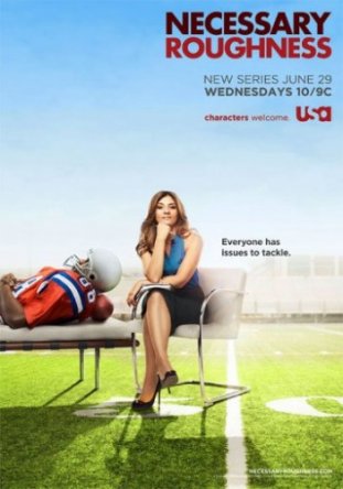   / Necessary Roughness ( 1-3) (2011-2013)