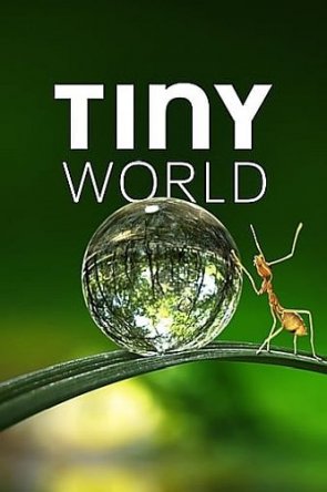   / Tiny World ( 1) (2020)